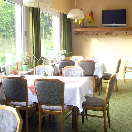 Haus Hellhohl Garni Brilon